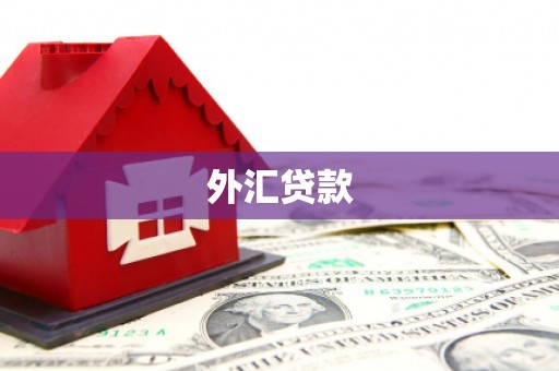 陇县外汇贷款