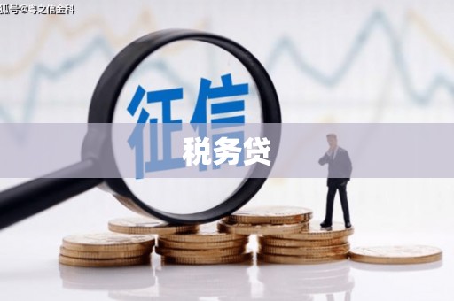 陇县税务贷