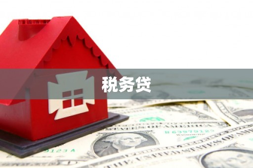 陇县税务贷