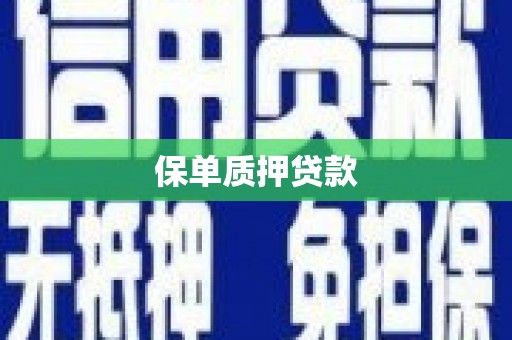陇县保单质押贷款