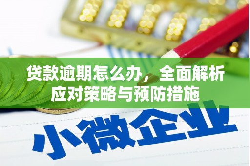 陇县贷款逾期怎么办，全面解析应对策略与预防措施