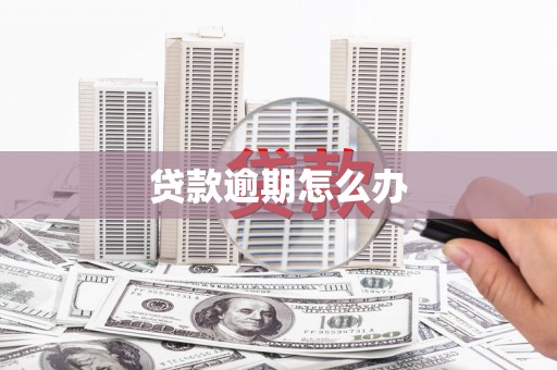 陇县贷款逾期怎么办