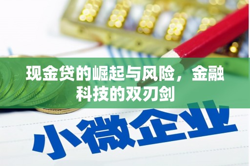 陇县现金贷的崛起与风险，金融科技的双刃剑