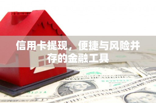陇县信用卡提现，便捷与风险并存的金融工具