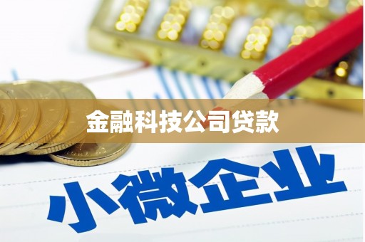 陇县金融科技公司贷款