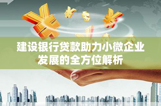 陇县建设银行贷款助力小微企业发展的全方位解析