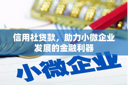 陇县信用社贷款，助力小微企业发展的金融利器