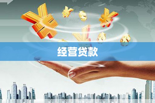 陇县经营贷款