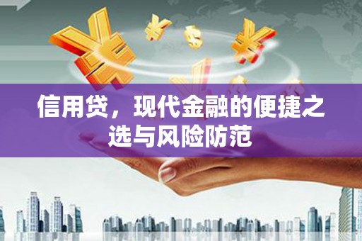 陇县信用贷，现代金融的便捷之选与风险防范
