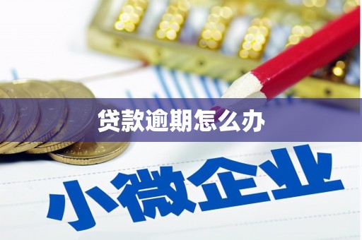 陇县贷款逾期怎么办