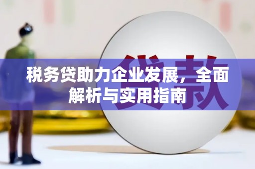陇县税务贷助力企业发展，全面解析与实用指南