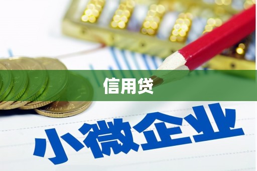 陇县信用贷