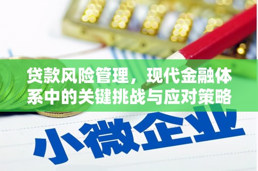 陇县贷款风险管理，现代金融体系中的关键挑战与应对策略
