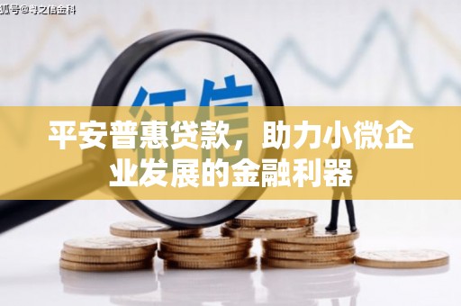 陇县平安普惠贷款，助力小微企业发展的金融利器