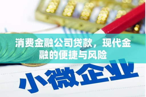陇县消费金融公司贷款，现代金融的便捷与风险