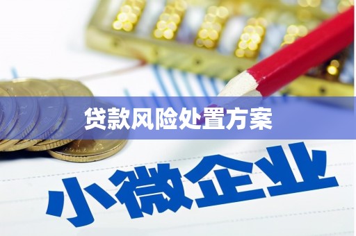陇县贷款风险处置方案